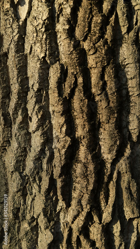 rough brown wood texture pattern close up