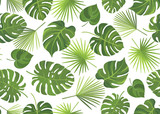 Seamless pattern with different tropical green leaves. Vector illustration.