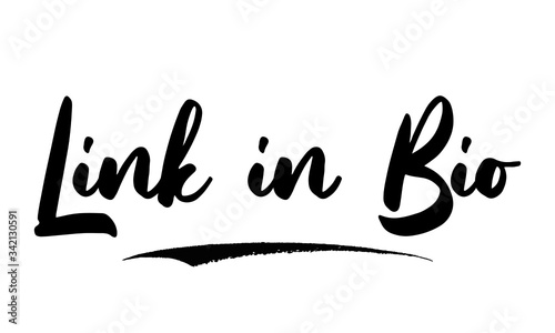 Link in Bio Calligraphy Black Color Text On White Background
