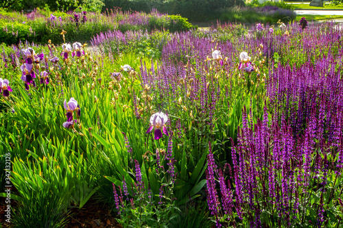 Fantastic nature in Muzeon park at summer , Moscow, Russia
 photo