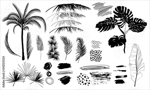 set of black and white silhouettes of tropical palms leaves