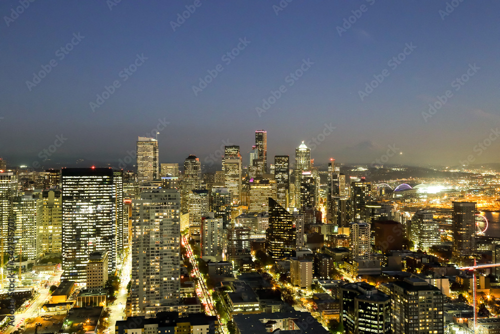 A View Over Elliott bay and Seattle Inter Urban Downtown City Skyline Buildings Waterfront from Space needle