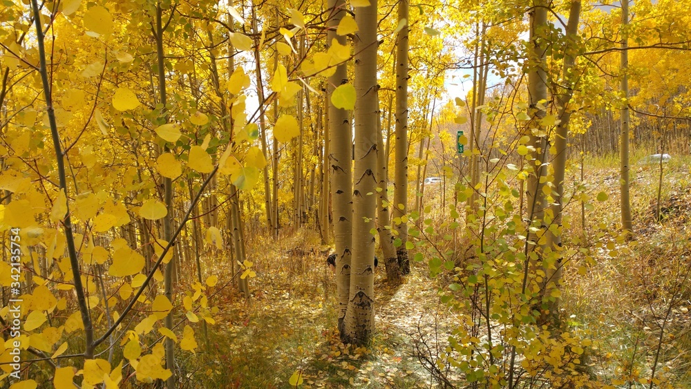Autumn in the mountains Autumn in the mountains