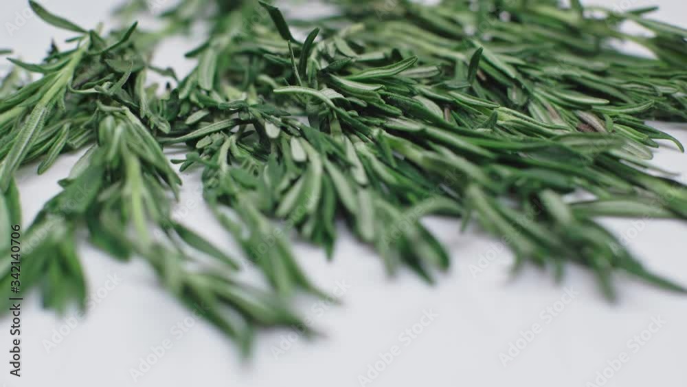 Freshly picked rosemary herbs. Green sprigs of rosemary isolated on a white background. Healthy food and culinary herbs. Freshly picked rosemary herbs. Green sprigs of rosemary isolated on a white background. Healthy food and culinary herbs.