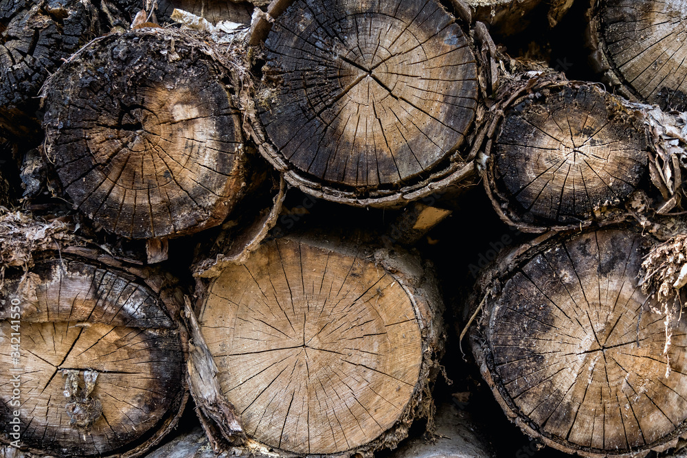 The old logs were covered with moss. Old wood rots in the open air. Natural texture. Natural background of old wood. Wood with cracks. The old logs were covered with moss. Old wood rots in the open air. Natural texture. Natural background of old wood. Wood with cracks.