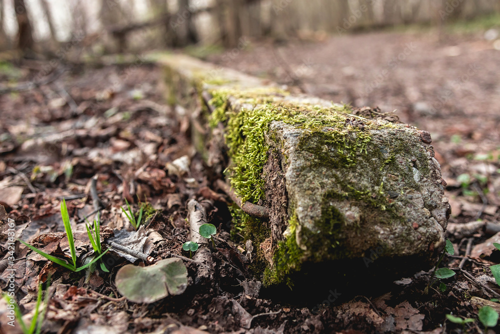 An old concrete pillar fell. Concrete covered with moss. Ruins in the forest. An old concrete pillar fell. Concrete covered with moss. Ruins in the forest.