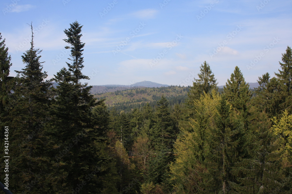 Panorama mit Berggipfel