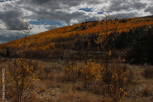 Autumn in the mountains