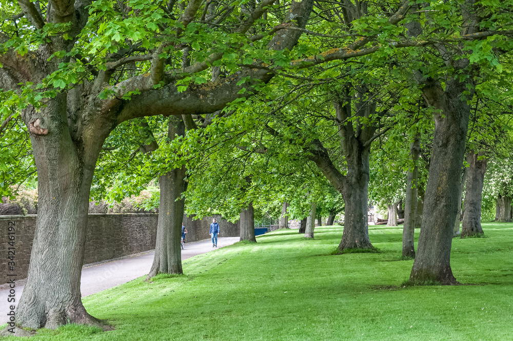 Unrecognizable people walking in Edinburgh park with green trees