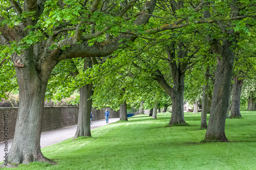 Unrecognizable people walking in Edinburgh park with green trees