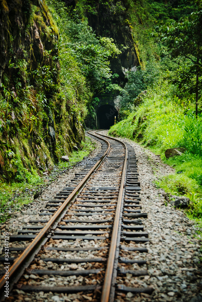 Railway through the forest, Aguas Calientes, Peru , South America Railway through the forest, Aguas Calientes, Peru , South America