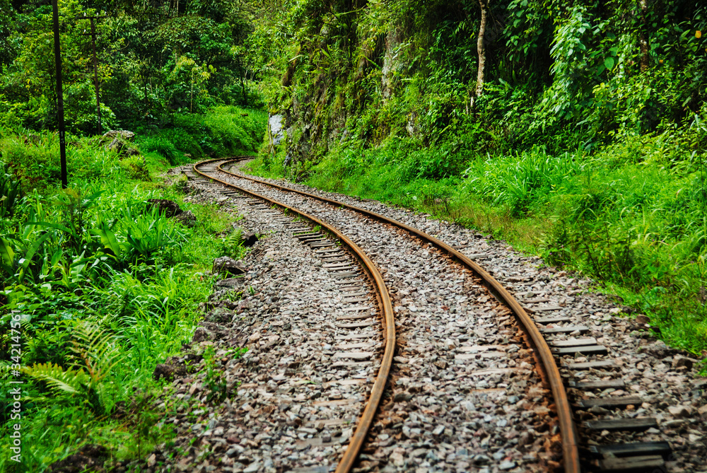 Railway through the forest, Aguas Calientes, Peru , South America Railway through the forest, Aguas Calientes, Peru , South America