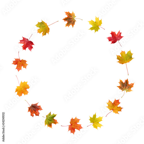 round frame of maple autumn leaves isolated on white.