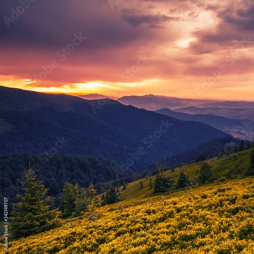 majestic summer dawn image, vertical sunrise scenery, awesome morning  landscape, beautiful nature background in the mountains, Carpathians, Ukraine, Europe  © Rushvol