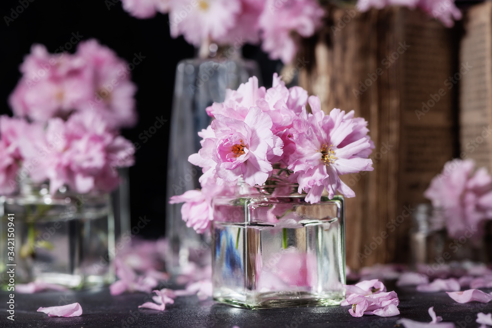 Cherry blossom, sakura flowers in a glass jar with a old book with petals Cherry blossom, sakura flowers in a glass jar with a old book with petals
