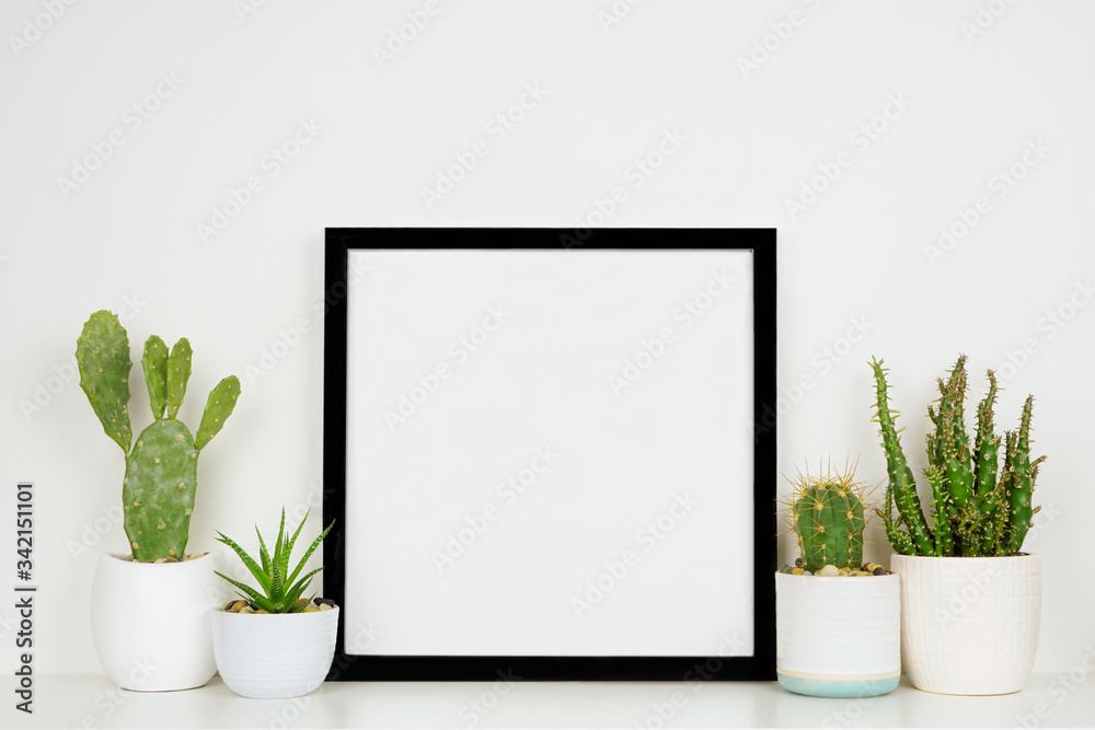 Mock up black square frame with potted cacti and succulent plants. White shelf against a white wall. Copy space.