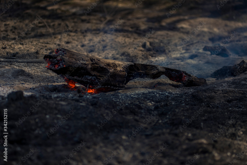 Editorial, Rivne, Ukraine, 11-04-2020, Photographer in Massive Wild Bushfire in Ukraine, Disaster, Ecological Catastrophe Editorial, Rivne, Ukraine, 11-04-2020, Photographer in Massive Wild Bushfire in Ukraine, Disaster, Ecological Catastrophe