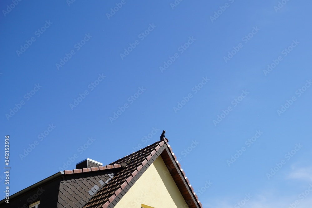 roof with a little black cat figure and blue sky in background. Copy space. bright yellow facade of the house