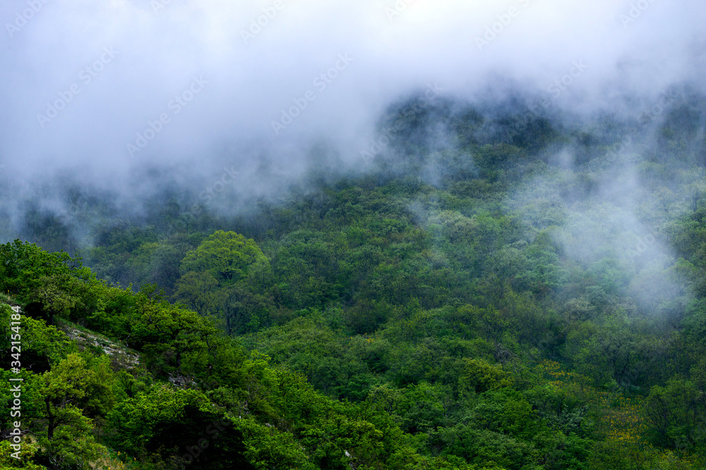Majestic view on beautiful fog mountains in mist landscape. Dramatic unusual scene. Travel background. Exploring beauty world Majestic view on beautiful fog mountains in mist landscape. Dramatic unusual scene. Travel background. Exploring beauty world