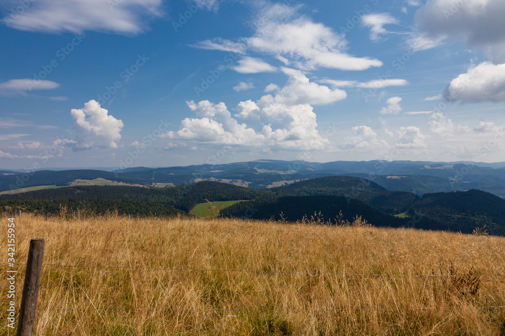 Panorama Blick vom Belchen im Schwarzwald