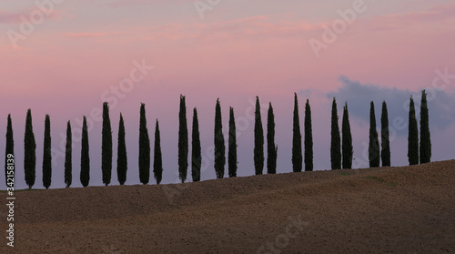 Cypress road during colourful pink sunset, brown fields and clouds in sky, Tuscany Italy.