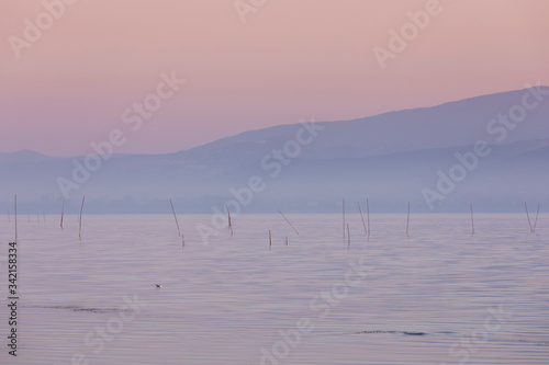 Fototapeta Naklejka Na Ścianę i Meble -  Pastel tone sunrise with morning fog over the water of lake Trasimeno, reed in the front, hill silhouettes in the distance, Tuscany Italy.