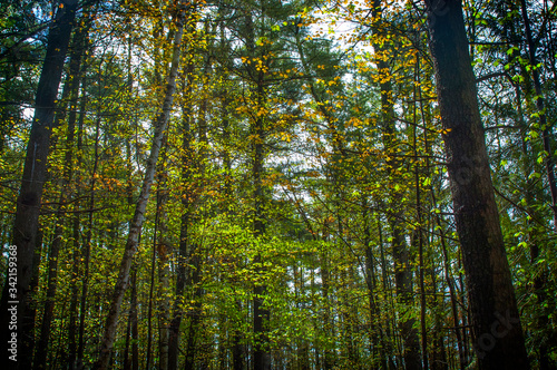 Hudson Pointe Nature Preserve Upstate New York Adirondacks