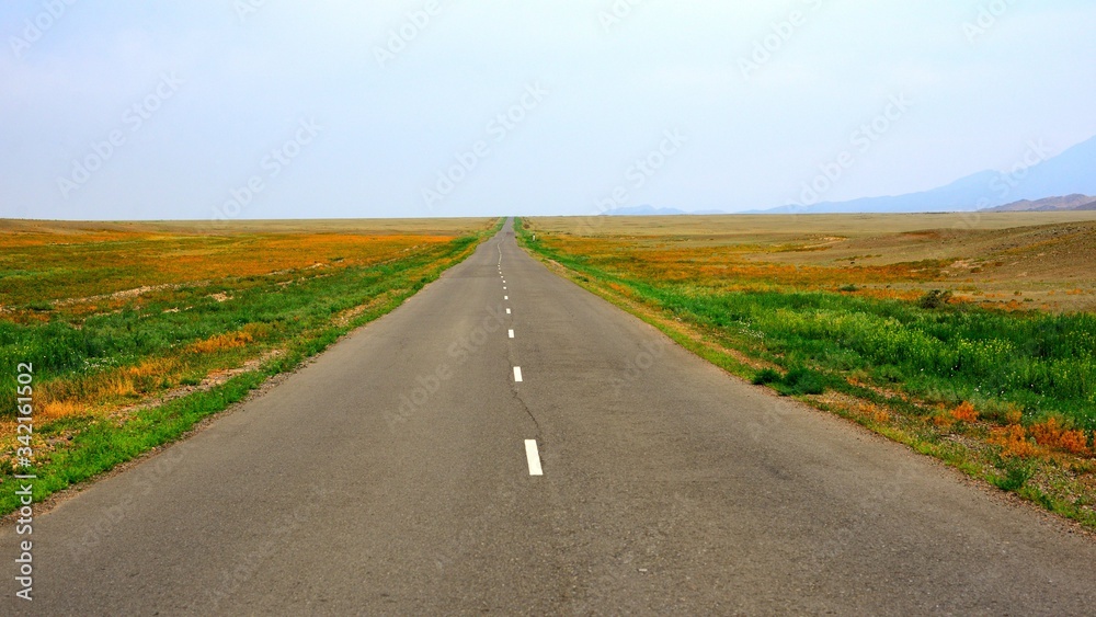 Naklejka premium Country road in Kegen region of Kazakhstan