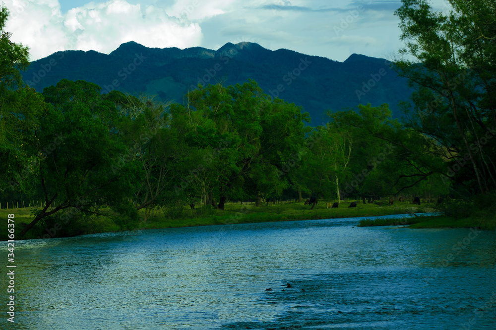 Fototapeta Paisaje hermoso del río Grande, hermosa naturaleza