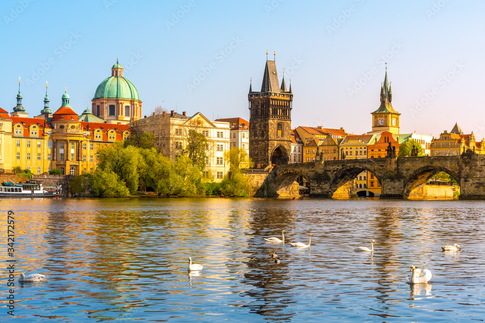 View on Charles bridge and Swans on Vltava river in Prague at sunset, Czech Republic