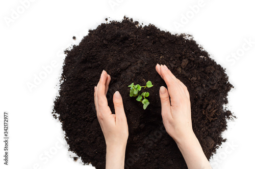 Earth day and Ecology.Plant in hands.Young couple carrying plant and planted a plant in to the soil on land back ground.field. Photo concept save world and ecology. copy space. story