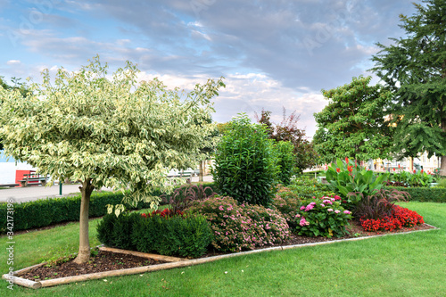 View of a composition of plants and flowers on a well-kept lawn in a public park. Concept landscape, landscape design.