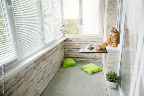 White interior of the apartment to the balcony style loft with panoramic views. Maine coon cat sits on a windowsill. Cozy loggia for relaxation and games. Horizontal frame