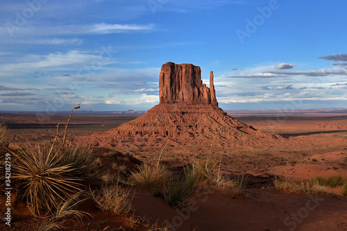 Monument Valley with cactus