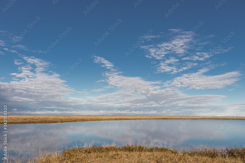 Landscape of summer tundra: lake, grass, blue sky, sunny day, clouds, reflection of clouds in the water