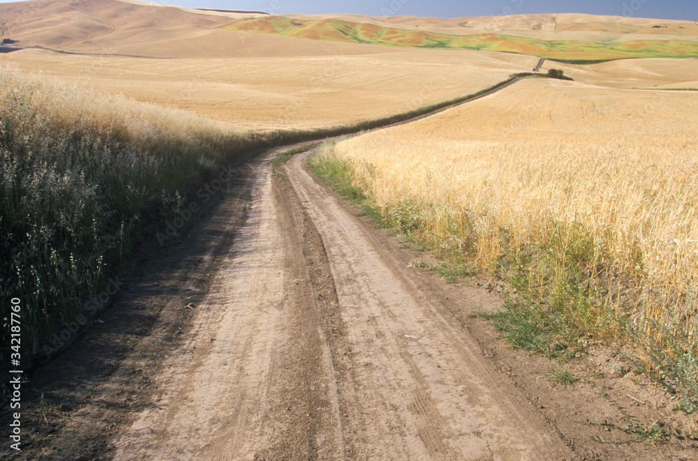 The road that travels through the world's largest wheat region named Kamiack Butte in South Eastern Washington The road that travels through the world's largest wheat region named Kamiack Butte in South Eastern Washington