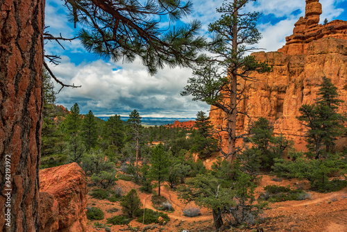Scenic View of the Valley, Red Canyon, Dixie National Forest, Utah, USA photo