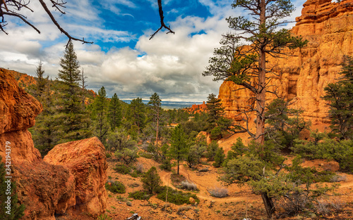 Scenic View of the Valley, Red Canyon, Dixie National Forest, Utah, USA photo