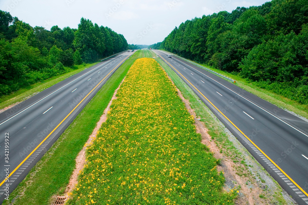 Yellow flower-lined state highway in rural Virginia