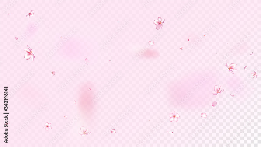 Nice Sakura Blossom Isolated Vector. Summer Flying 3d Petals Wedding Paper. Japanese Blurred Flowers Wallpaper. Valentine, Mother's Day Pastel Nice Sakura Blossom Isolated on Rose