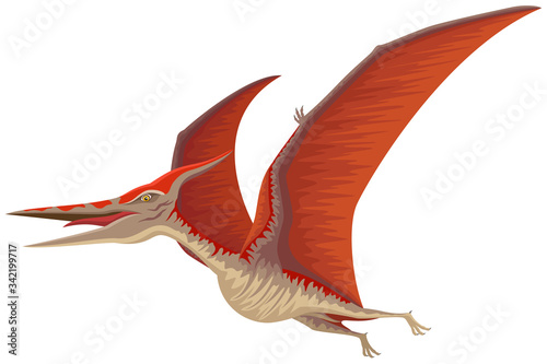 Vector illustration of a Pteranodon flying dinosaur.