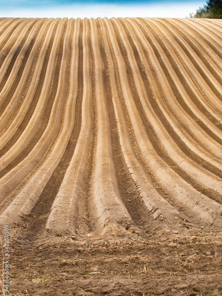 Plowed field view of the mountainous area in the countryside Plowed field view of the mountainous area in the countryside