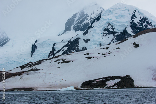 snow covered mountains