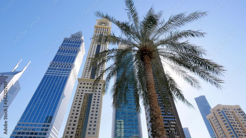 Looking up at palm trees, spectacular tall modern buildings, and bright shiny sun, Dubai Looking up at palm trees, spectacular tall modern buildings, and bright shiny sun, Dubai