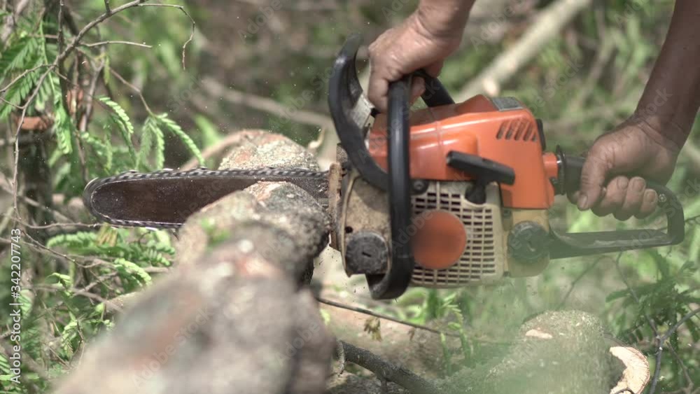 custom made wallpaper toronto digitalCutting through wood with chainsaw .Man using machine saw while cutting tree.