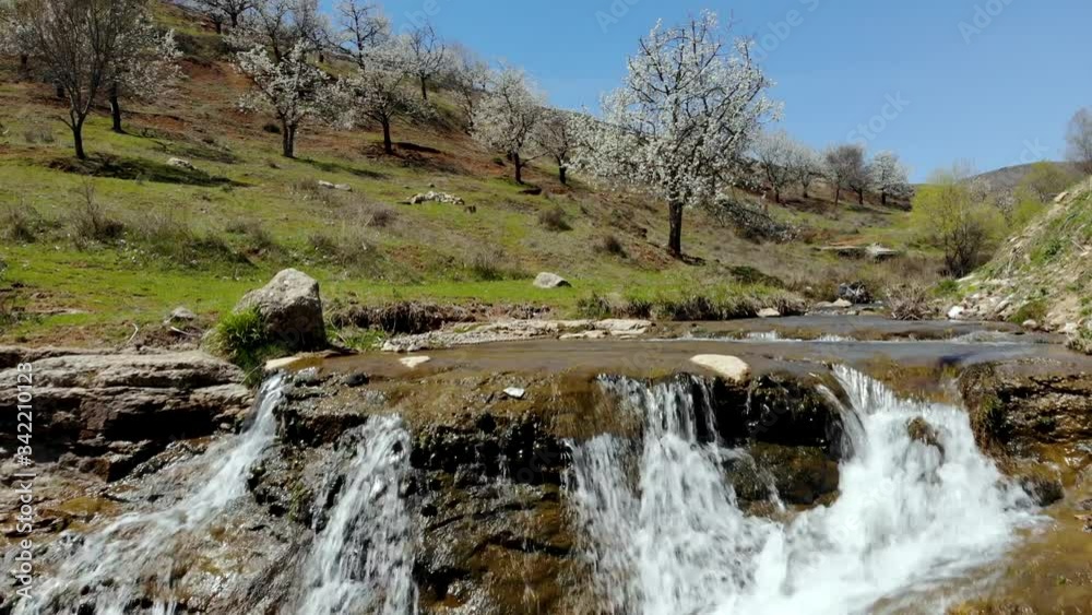 Waterfall with crystal water streaming from river by side of cherry trees with white flowers blossom on a sunny spring day Waterfall with crystal water streaming from river by side of cherry trees with white flowers blossom on a sunny spring day