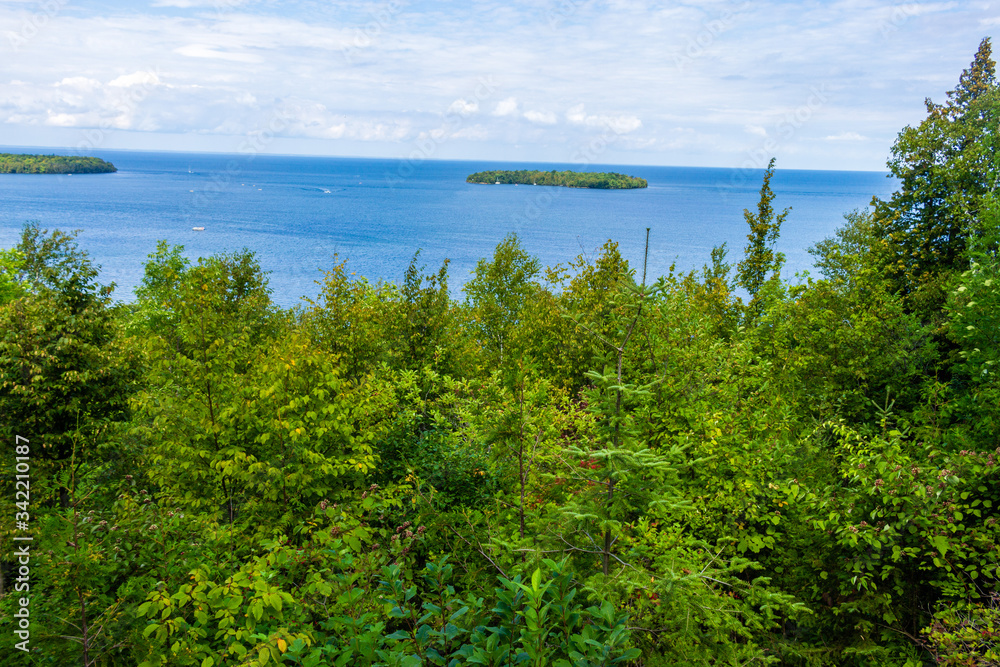 Beautiful Northern Forest in front of a blue Lake Michigan and Small Island