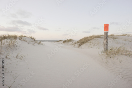 Horseriding path in the dunes Norderney, Germany