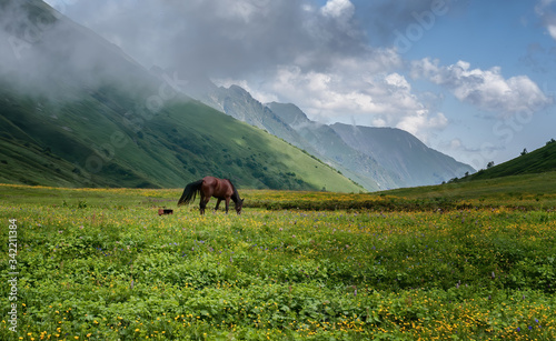 A horse grazes in the mountains