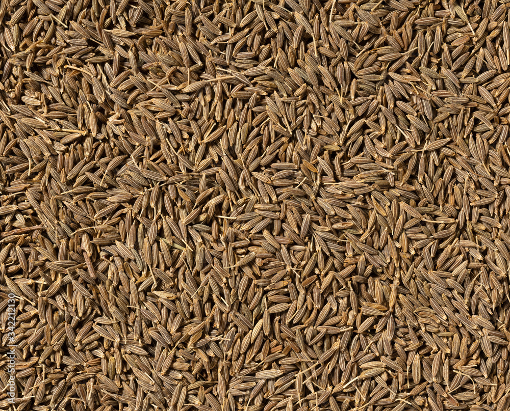 Cumin seeds as a background. Or texture